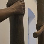 Giuseppe Penone espone le opere della serie Alpi Marittime, frutto delle sue azioni artistiche nei boschi di Garessio (CN)